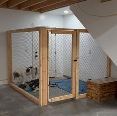 a dog in a kennel with two dogs inside