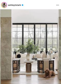 a dog is laying on the floor in front of a living room with large windows