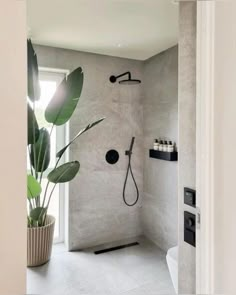 a bathroom with a shower, toilet and plant in it