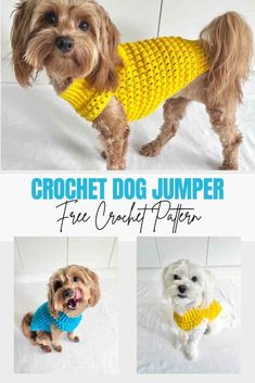 crochet dog jumpers free crochet patterns for dogs and their owners