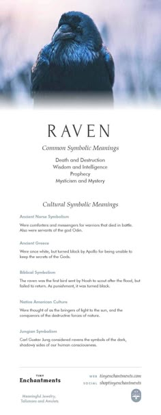 the back cover of ravenn