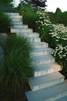 the steps are made from concrete and have grass growing on them, along with white flowers