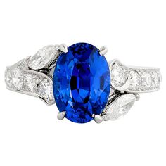 Van Cleef and Arpels Oval Sapphire and Diamond Bypass Ring in Platinum For Sale at 1stDibs Van Cleef Arpels Diamond, Orchid Ring, Diamond Flower Ring, Flower Diamond Ring, The Bling Ring, Van Cleef And Arpels, Bypass Ring, Diamond Star, Modern Ring