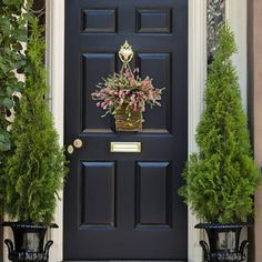 two potted plants are on the front door