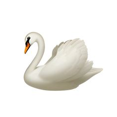 a white swan is floating in the water