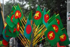 several green and red flags on sticks with trees in the background