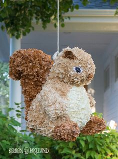 a teddy bear hanging from a tree in front of a house