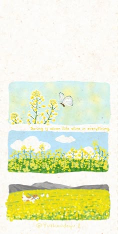 an illustration of three different types of flowers and grass with the words spring is here