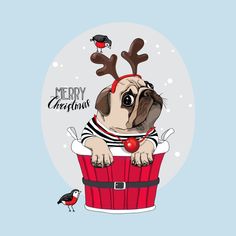 a cute pug dog wearing reindeer antlers sitting in a red bucket with the words merry