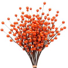 a bunch of orange berries are in a vase