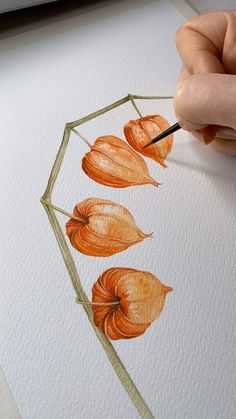 a person is drawing flowers with watercolors on paper and using a pencil to draw them