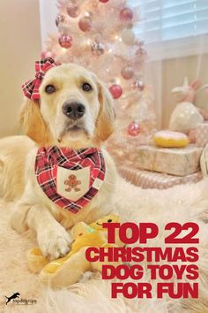 Top Christmas Dog Toys for Fun, christmas dog, dog toys