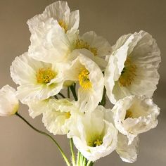 white flowers are in a vase on a table