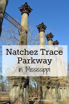 an old cemetery with the words natchez trace parkway in mississippi