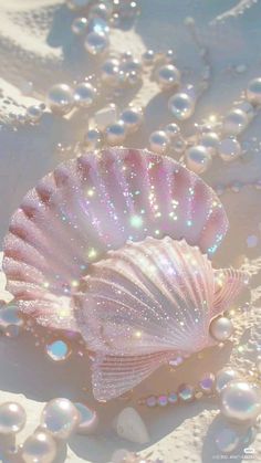 a pink shell sitting on top of a sandy beach next to bubbles and water droplets