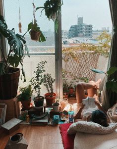 a woman laying on top of a bed next to a window filled with potted plants