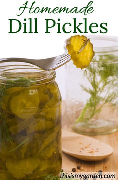 homemade dill pickles in mason jar with spoon