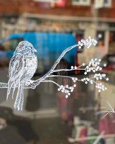 a bird sitting on top of a tree branch with white flowers in the foreground