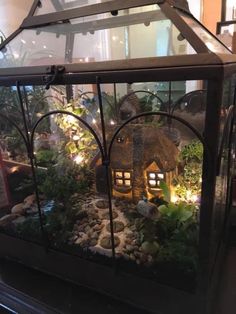 a glass case with a house in it that is lit up and surrounded by plants