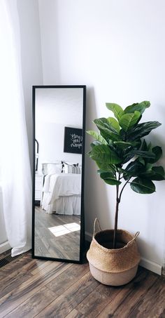 a potted plant in front of a mirror on the floor next to a bed