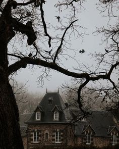 birds are flying over the roof of an old brick house with trees in front of it