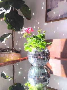 a mirror vase filled with flowers on top of a table next to a potted plant