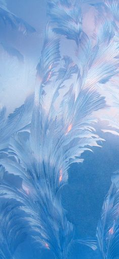 the frosted glass has many small feathers on it