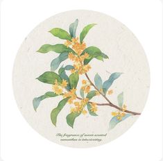 a painting of yellow flowers and green leaves on a white circle with the words, the purpose of flowered commutions