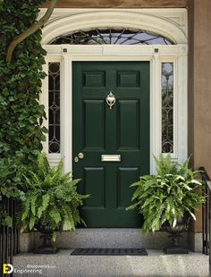 a black front door with two planters on the steps and an entry way leading up to it