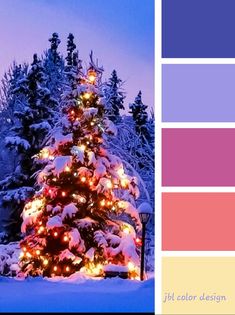 a christmas tree is lit up in the snow and surrounded by trees with colorful lights