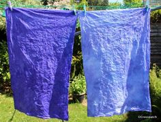 two purple towels are hanging on a clothes line in the yard, one is blue and the other is green