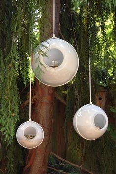 three bird feeders hanging from a tree