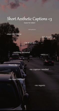 cars parked on the side of a road at sunset with captions from short astictic captions - 3