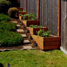 several wooden planters with plants growing in them on the side of a fenced yard