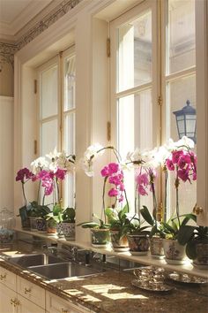 some flowers are sitting in vases on the windowsill and next to a sink