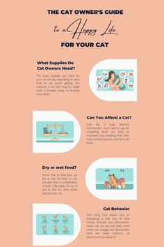 the cat owner's guide to a happy life for your cat - info poster