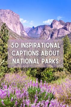 National parks are some of the most breathtaking and awe-inspiring places on our planet. From towering mountains to lush forests, these protected areas showcase the beauty and diversity of nature. It’s no wonder that they serve as inspiration for countless artists, writers, and photographers. If you’re looking for some inspiring captions about national parks, look... National Park Quotes, Camping Hiking Outfit, Midwest Hiking, New Orleans Quotes, Inspirational Captions, Inspiring Captions, Motivational Captions, Park Quotes, Cute Instagram Captions