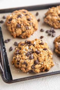 chocolate chip cookies on a baking sheet ready to be eaten