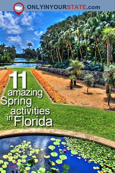 the front cover of an article about florida's beautiful gardens and water lilies