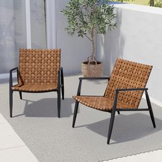 two chairs sitting next to each other on top of a rug near a potted plant