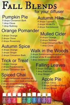 Fall Essential Oils, Fall Diffuser Blends, Essential Oil Combinations, Essential Oil Diffuser Blends Recipes, Young Living Essential Oils Recipes, Essential Oil Diffuser Recipes, Oil Diffuser Recipes, Essential Oil Blends Recipes