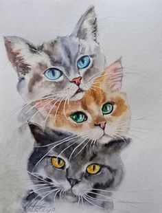 two cats are sitting next to each other on a white surface with blue and yellow eyes