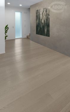 an empty room with white walls and wood flooring is seen in this image, there is a plant on the far wall