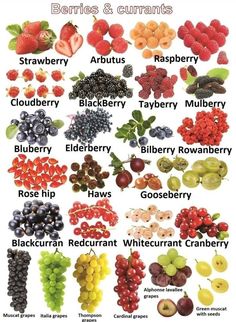 an image of berries and currans with the names in english on each one side