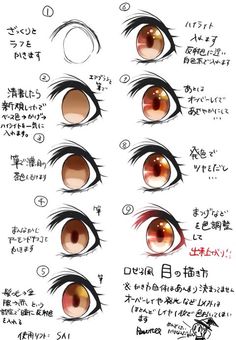 an image of different types of eyes