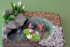 a small pond with fish and flowers in it