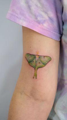 a small green moth tattoo on the left arm