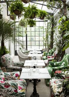 a room filled with lots of plants and furniture