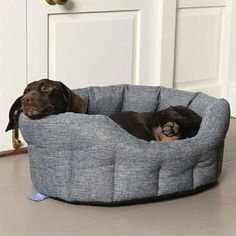 a brown dog laying in a gray bed on the floor next to a white door