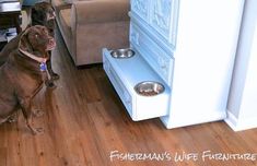 two dogs are sitting in front of their food bowls on the living room hardwood floor